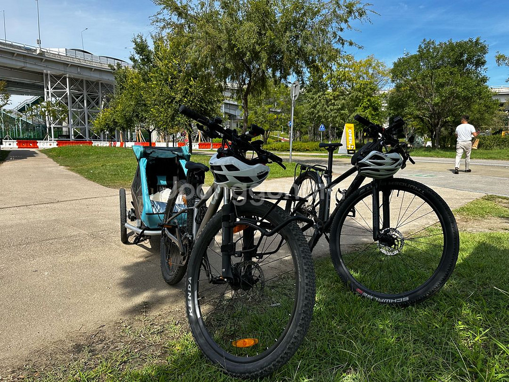 크루저 자전거 트레일러 판매--3