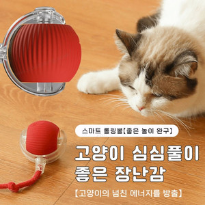 강아지&고양이 LED자동장난감, 최저가로 드려요