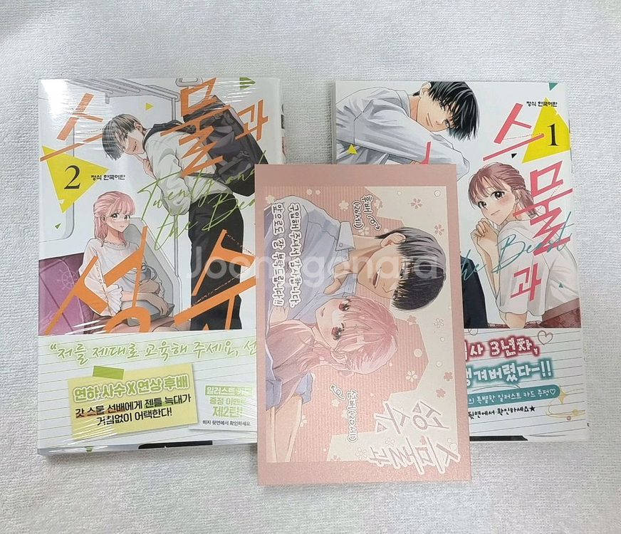 순정만화 스물과 성수 1~2권 초판 엽서 포함--0