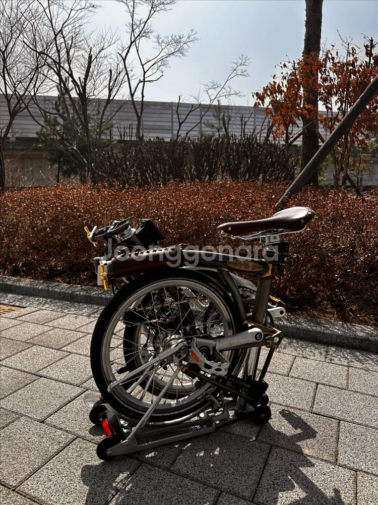 15년식 브롬톤 로우라커 m6r(단종되어 희소성 굳)--9