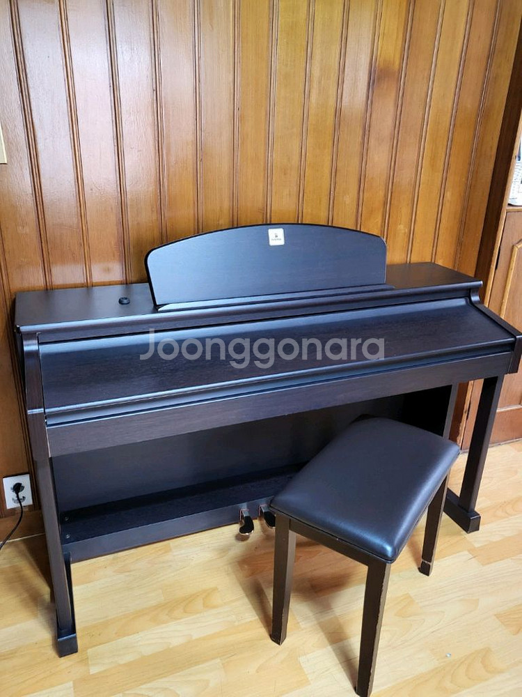 다이나톤 DPR-2160S 디지털 피아노--0
