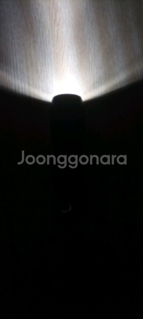 LED 손전등 + 건전지 포함 , Flashlight--6