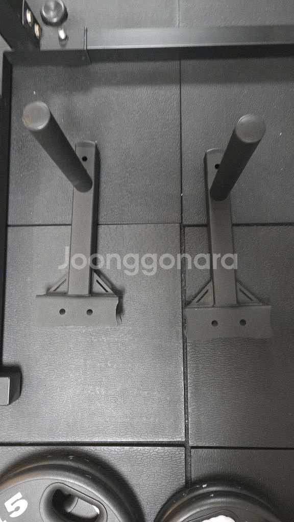 바디스톤 국산 스쿼트랙 + 디핑바--1