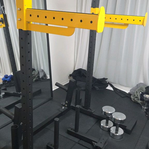 바디스톤 국산 스쿼트랙 + 디핑바