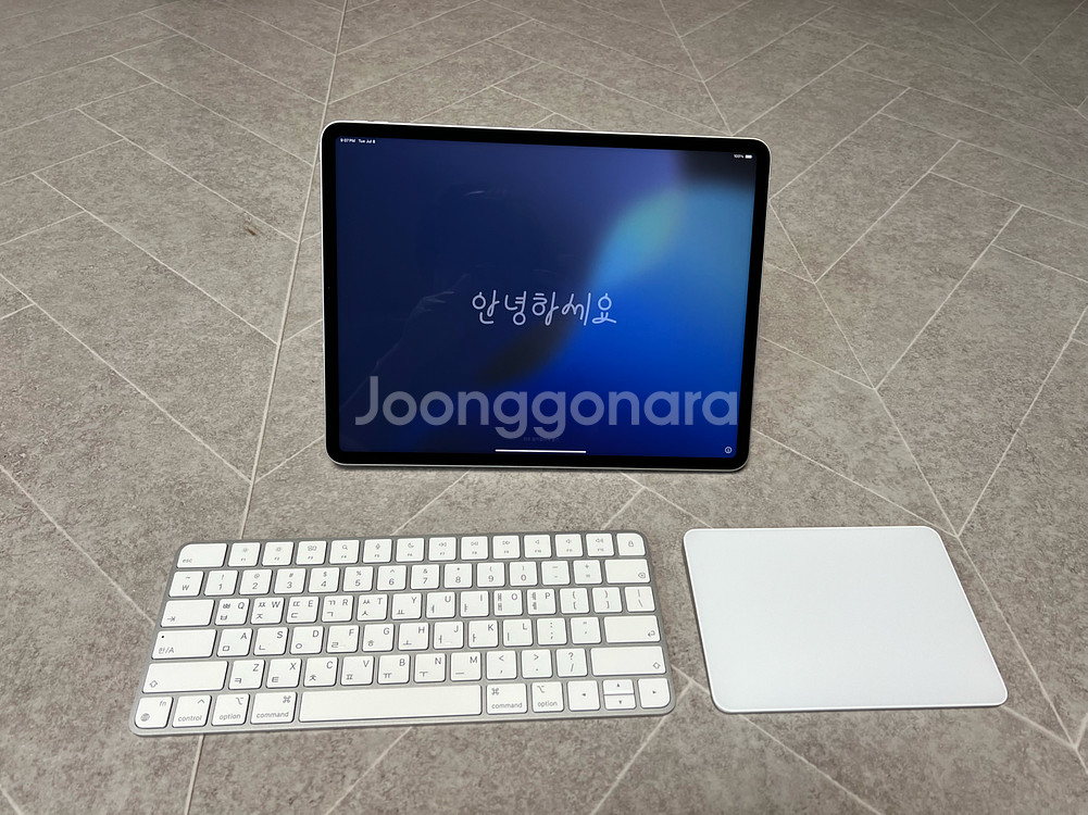 아이패드프로 12.9형 6세대 M2 256GB WIFI--0