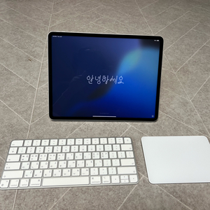 아이패드프로 12.9형 6세대 M2 256GB WIFI