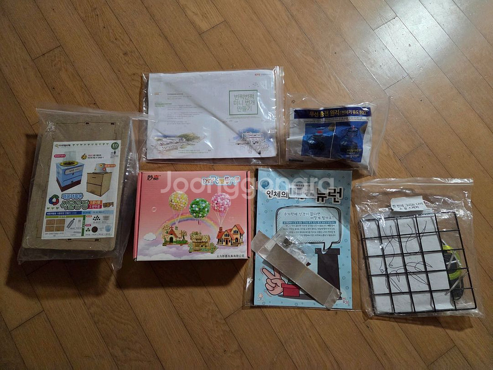 아이들 미술, 과학, 마술, 창의 활동 만들기 키트 새--0