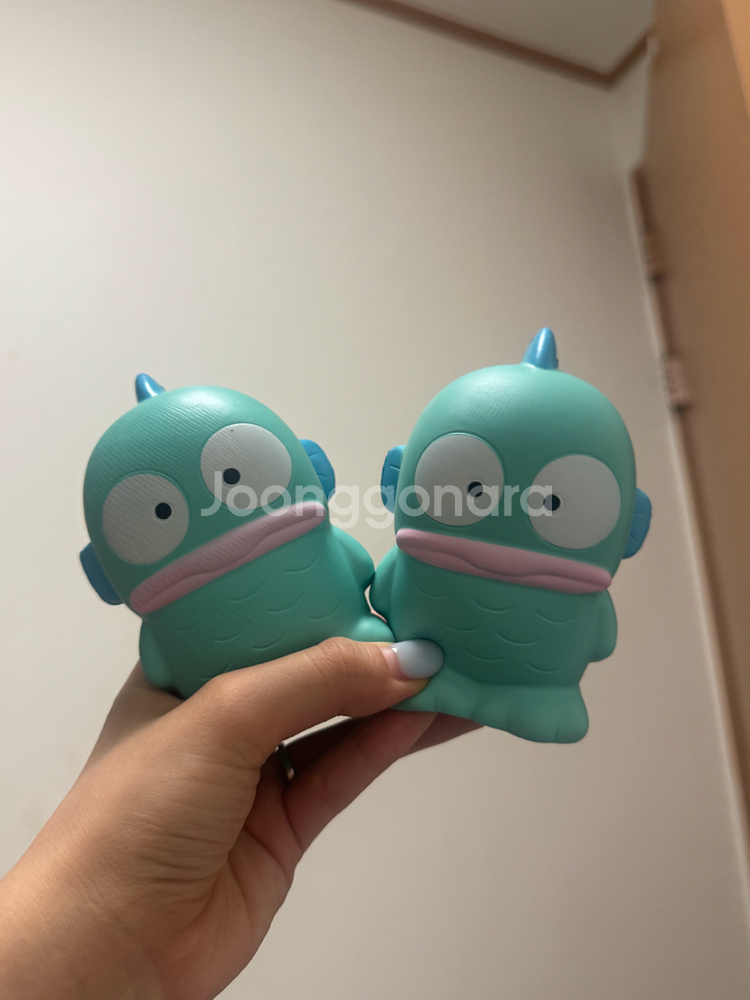 한교동 스퀴시--1