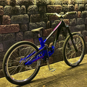포비든 드레드노트 풀샥 mtb