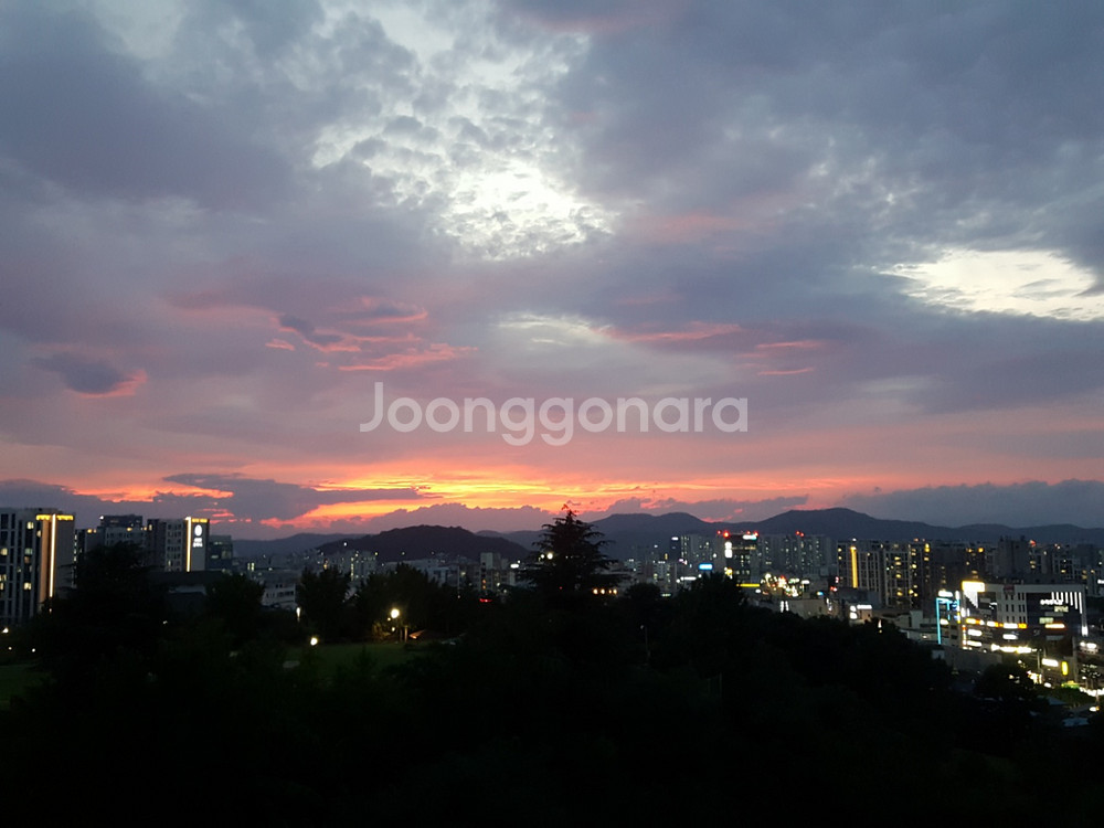 피망쿠폰 삽니다--0