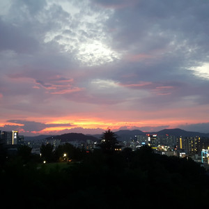 피망쿠폰 삽니다