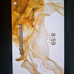 갤럭시탭s8 플러스 256gb wifi 그라파이트