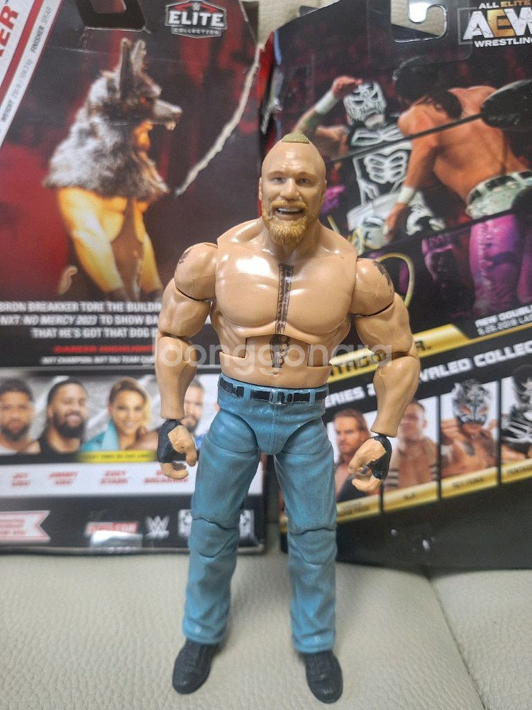 wwe 브룩피규어--0