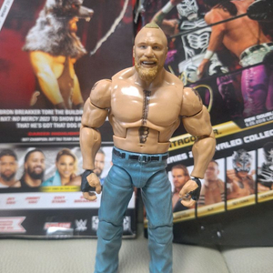 wwe 브룩피규어