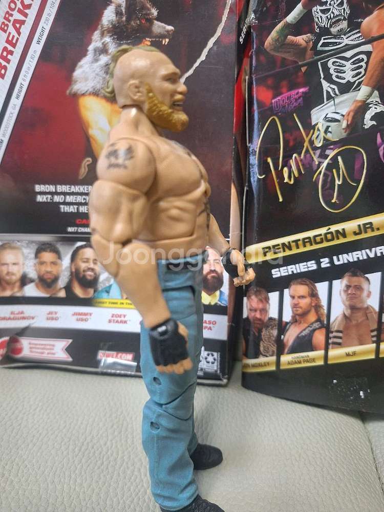 wwe 브룩피규어--1