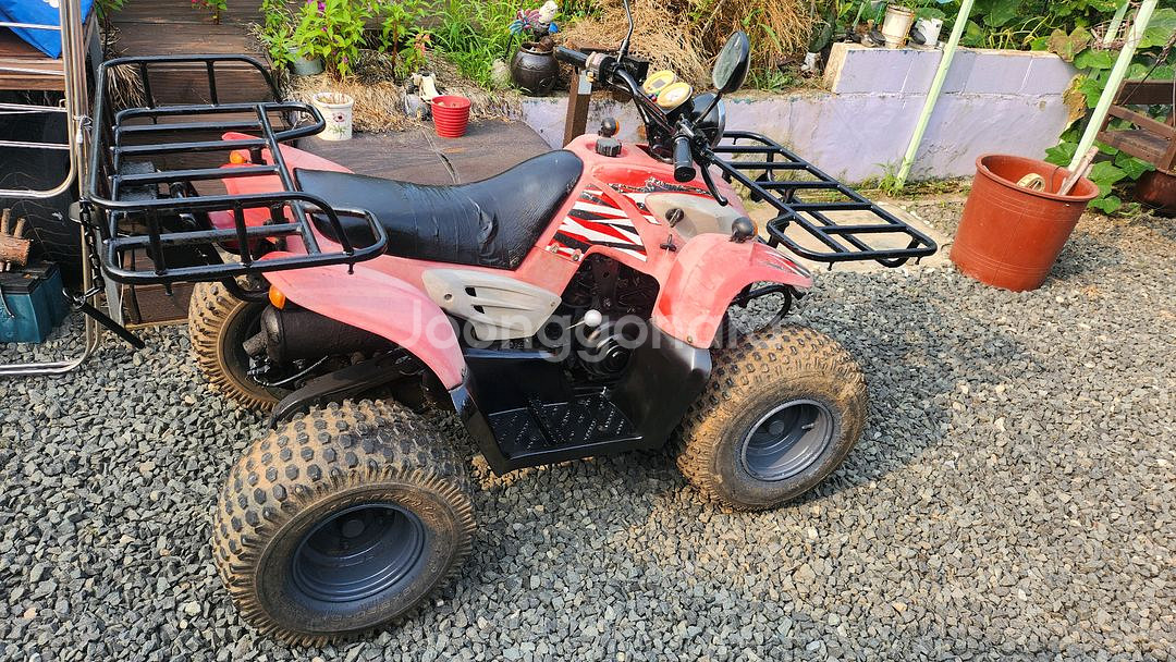 돌핀 100cc ATV 4륜 오토바이 농업용 사발이--3