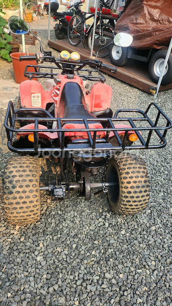 돌핀 100cc ATV 4륜 오토바이 농업용 사발이--1