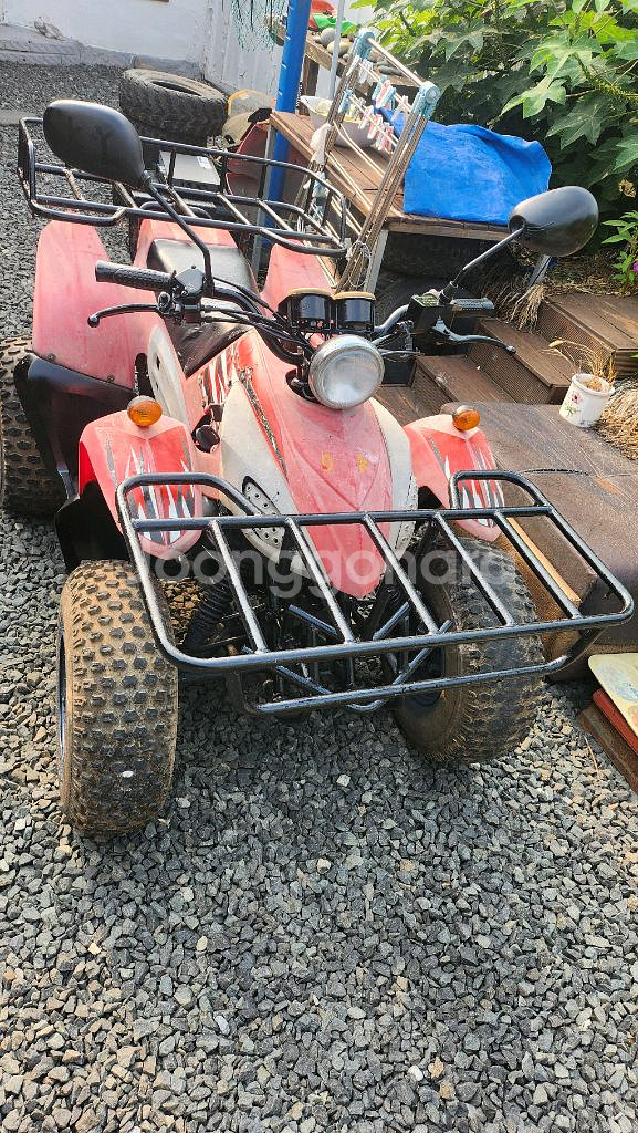 돌핀 100cc ATV 4륜 오토바이 농업용 사발이--0