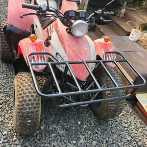 돌핀 100cc ATV 4륜 오토바이 농업용 사발이