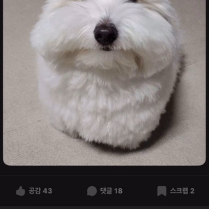대성마이맥 패스 공유