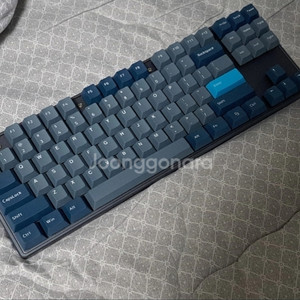 [완제품] DX 커스텀 키보드