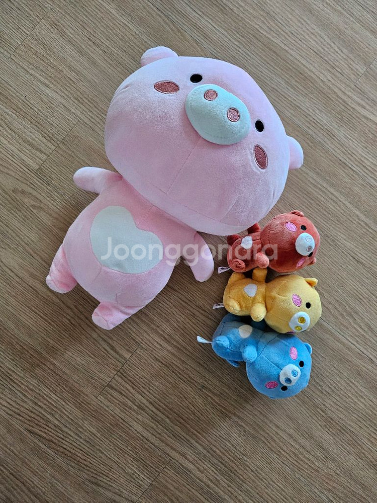 어부바 인형(신협) 일괄--0