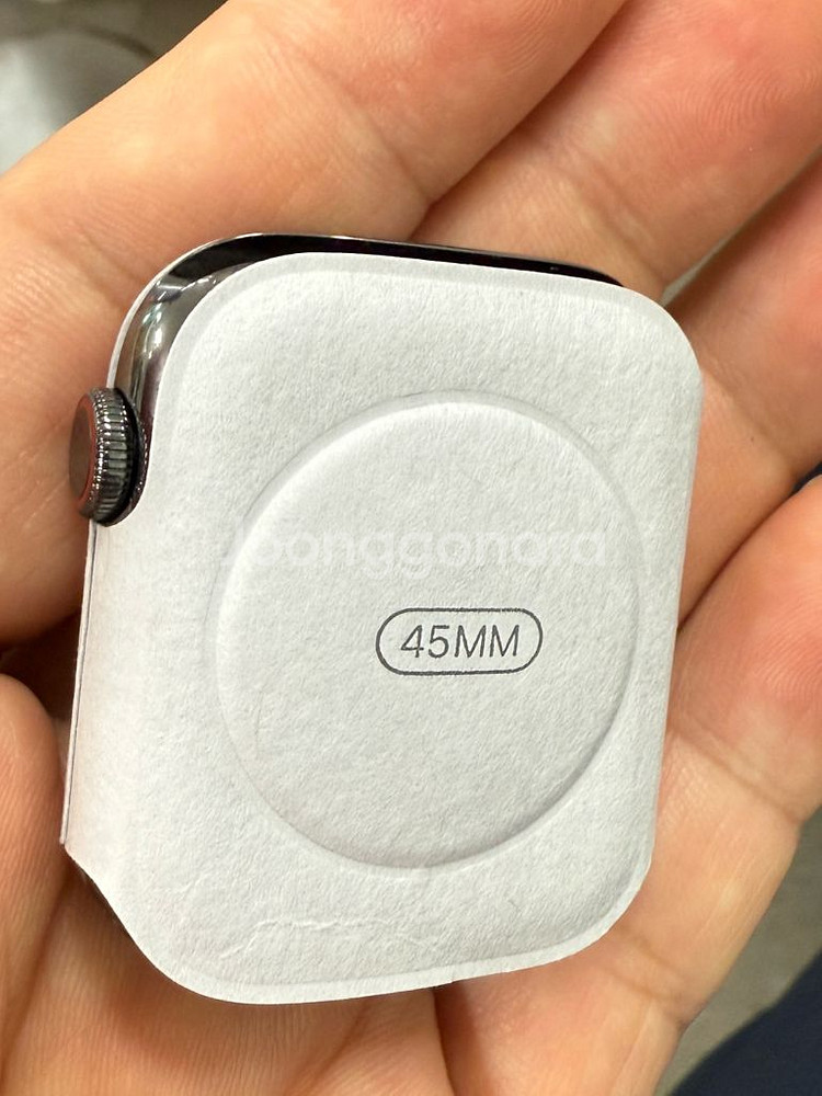 애플워치8 스테인리스 그래파이트 45mm--3