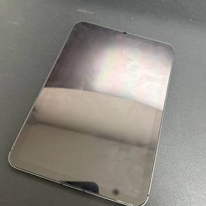 아이패드 미니6 256GB 셀룰러 스페이스그레이