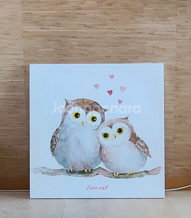 부엉이 그림 판넬 액자--0