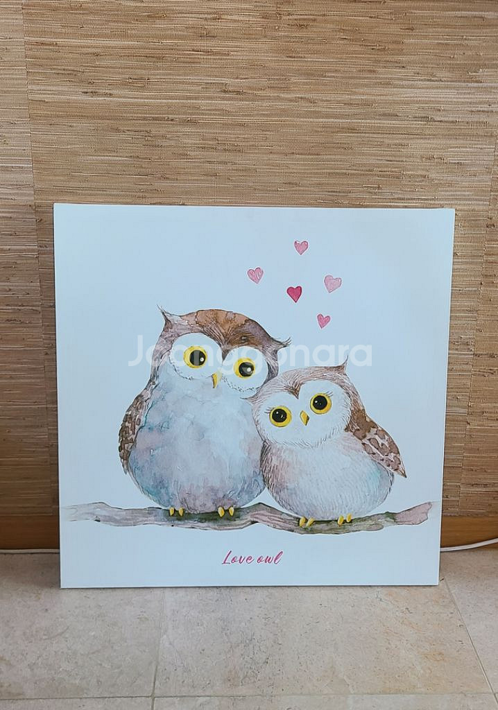 부엉이 그림 판넬 액자--1