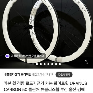판타시아 레이다 카본휠셋