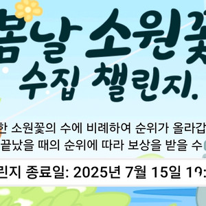 틱톡 소원꽃삽니다 미접700