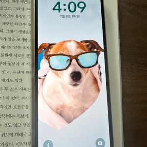 갤럭시 z폴드4 갤럭시워치4 44mm