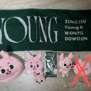 데이식스 일본 굿즈