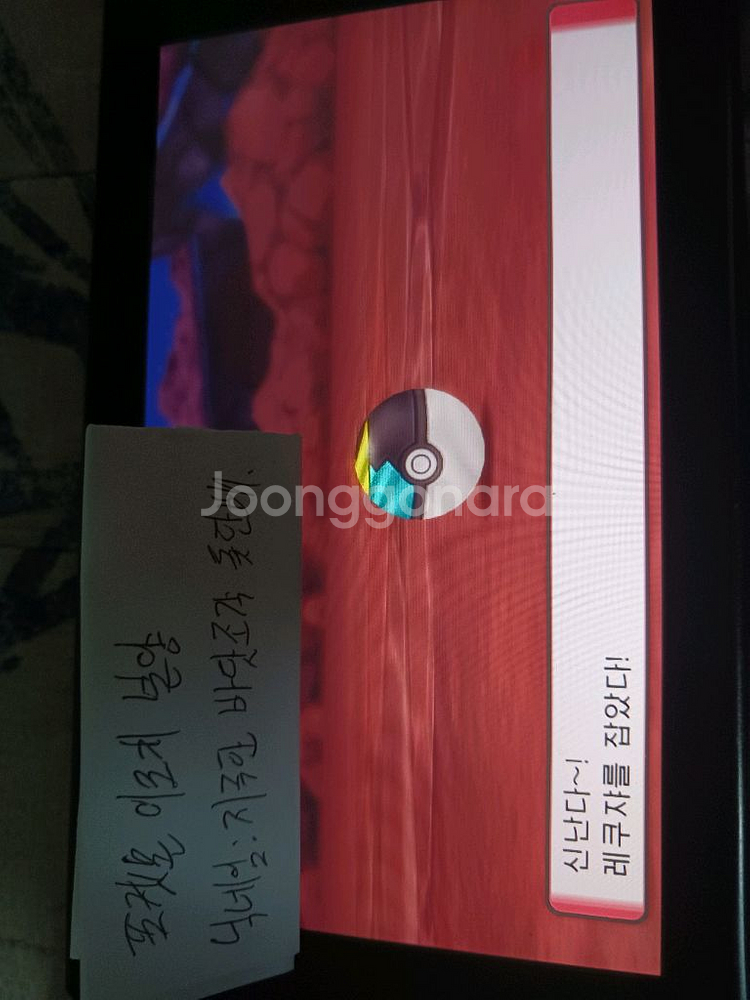 포켓몬분양 이로치 전설 에딧x 인증가능--6
