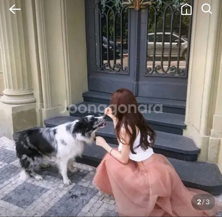 라벨르블랑 벨라 오간자 스커트--1