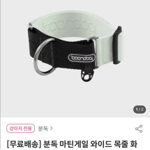 분독 마틴게일 와이드 목줄 화이트 L사이즈