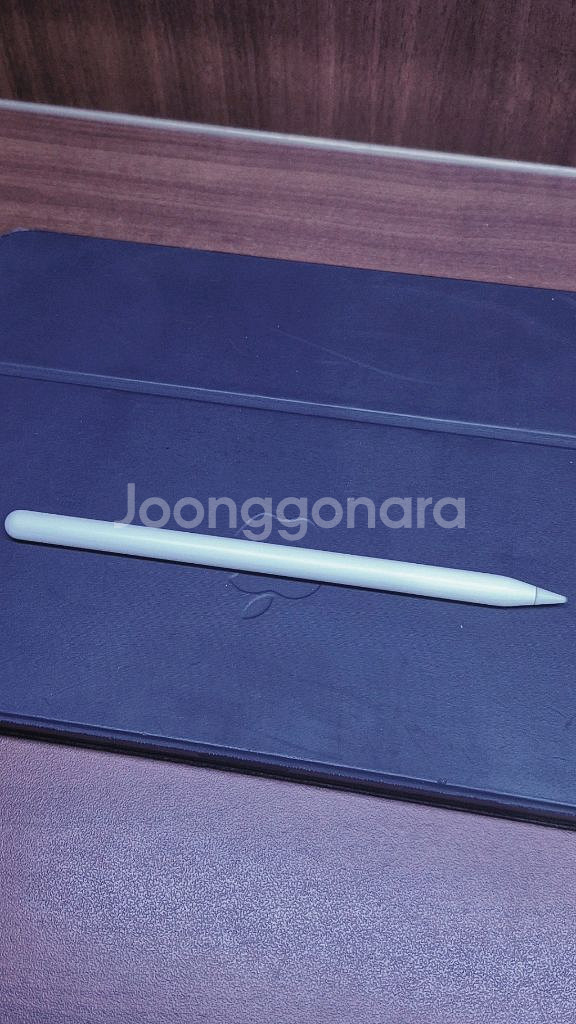 애플펜슬 2세대--1