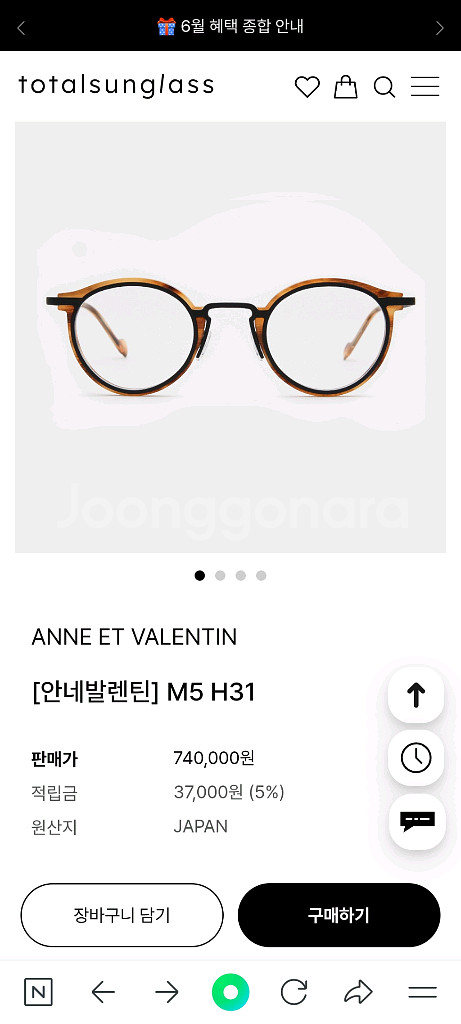 안네발렌틴 M5 H31 안경테--5