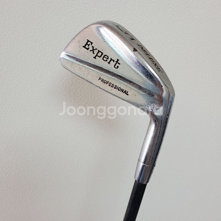 EXPERT deluxe 5번 아이언 카본샤프트 골프--0