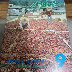 새마을잡지1980년대(근대도서)11권