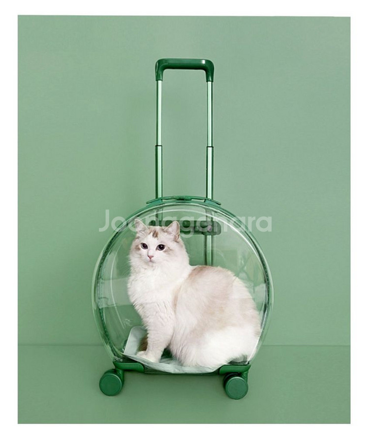 반려동물 투명 캐리어 휴대식 캣백 에어 박스 강아지 외--2