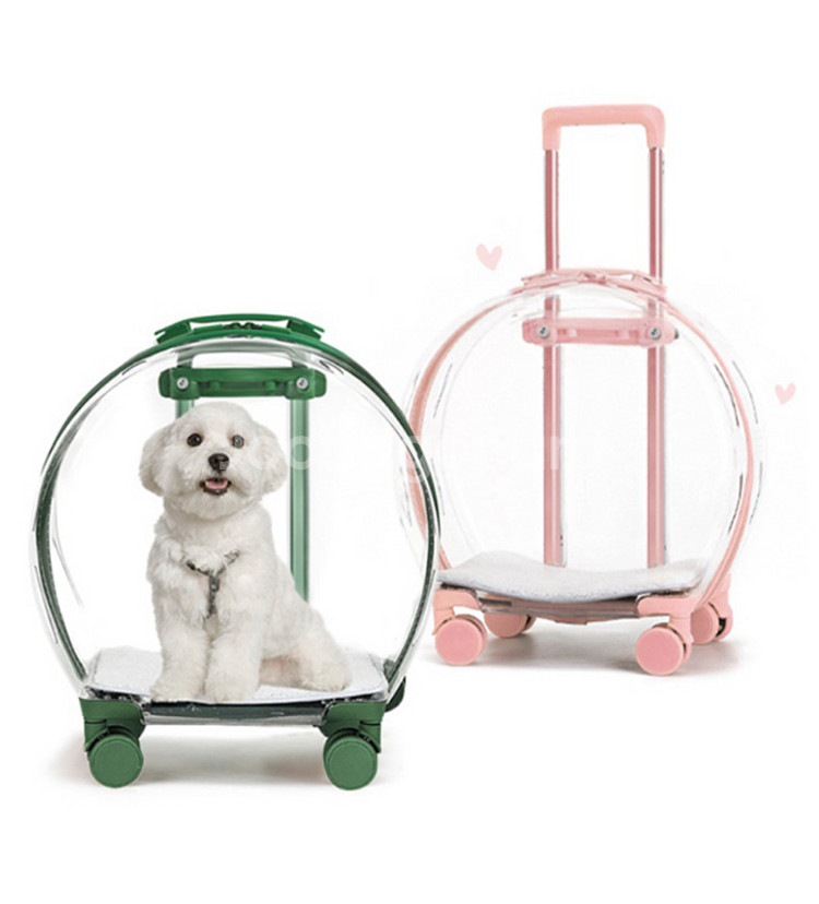 반려동물 투명 캐리어 휴대식 캣백 에어 박스 강아지 외--0