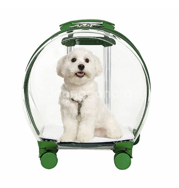 반려동물 투명 캐리어 휴대식 캣백 에어 박스 강아지 외--1
