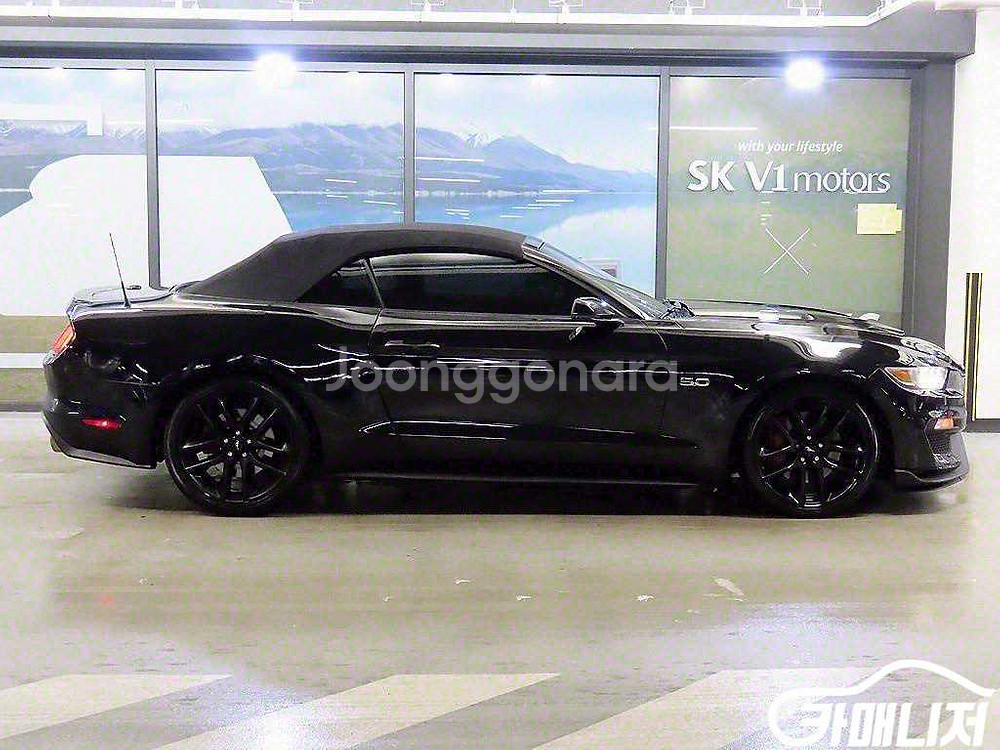 [포드]머스탱 6세대 5.0 GT 컨버터블 #최저가도전--2