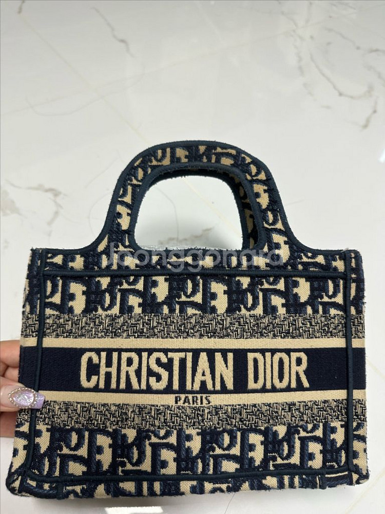 디올 오블리크 토트백 미니--0