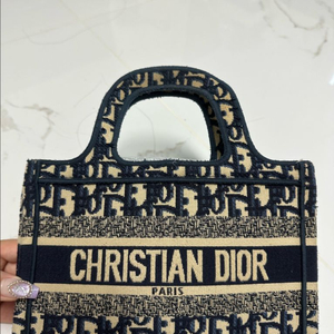 디올 오블리크 토트백 미니