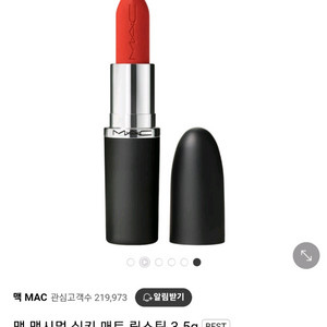 맥 매트 립스틱 607 레이디 데인저 3g