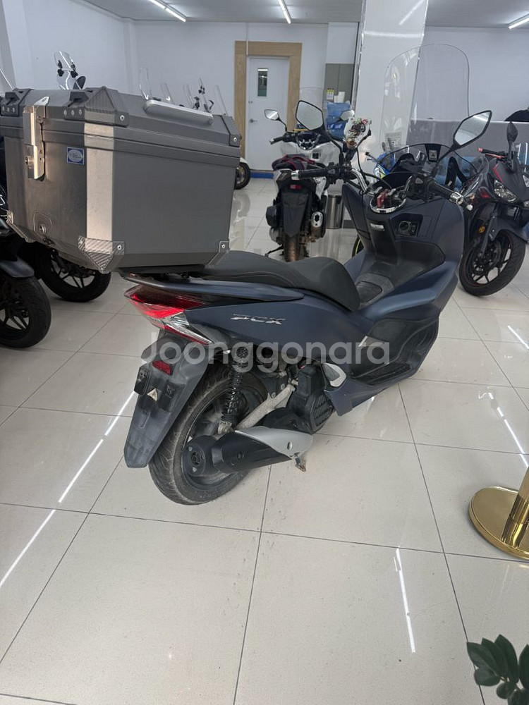 20년식 Pcx125 배달세팅 저키로수 급매--3