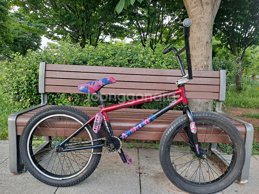 sunday forecaster bmx--0